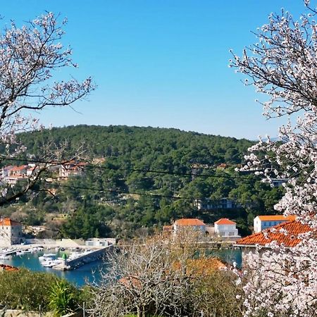 Jelsa View Apartments מראה חיצוני תמונה
