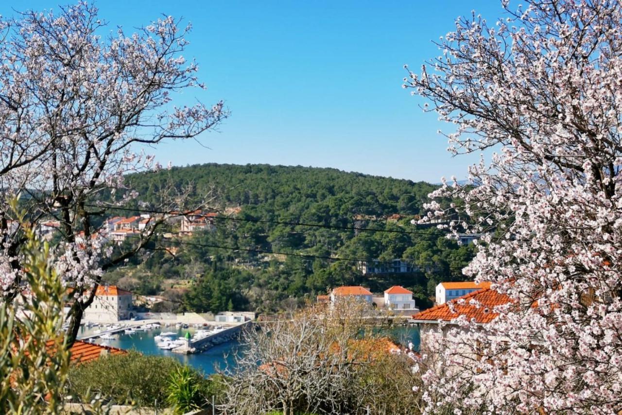 Jelsa View Apartments מראה חיצוני תמונה